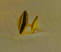 Double Leaf Adjustable Ring – High-Quality Gold-Plated Stainless Steel