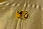 Chic Gold-Tone Open Band Ring with Bold Dome Accent